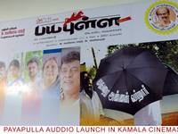 payapullaaudio